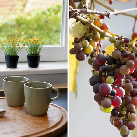 Sj309-bjert-kystvej-60 *