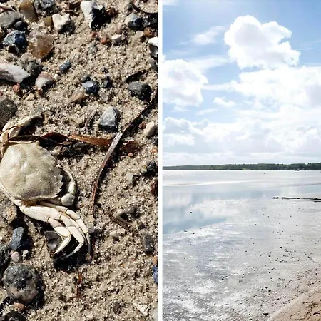 Sj309-bjert-kystvej-60 Bjert Strand