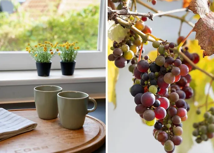 Sj309-bjert-kystvej-60 *