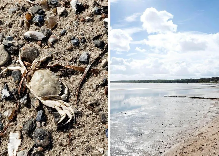 Sj309-bjert-kystvej-60 Abjerg